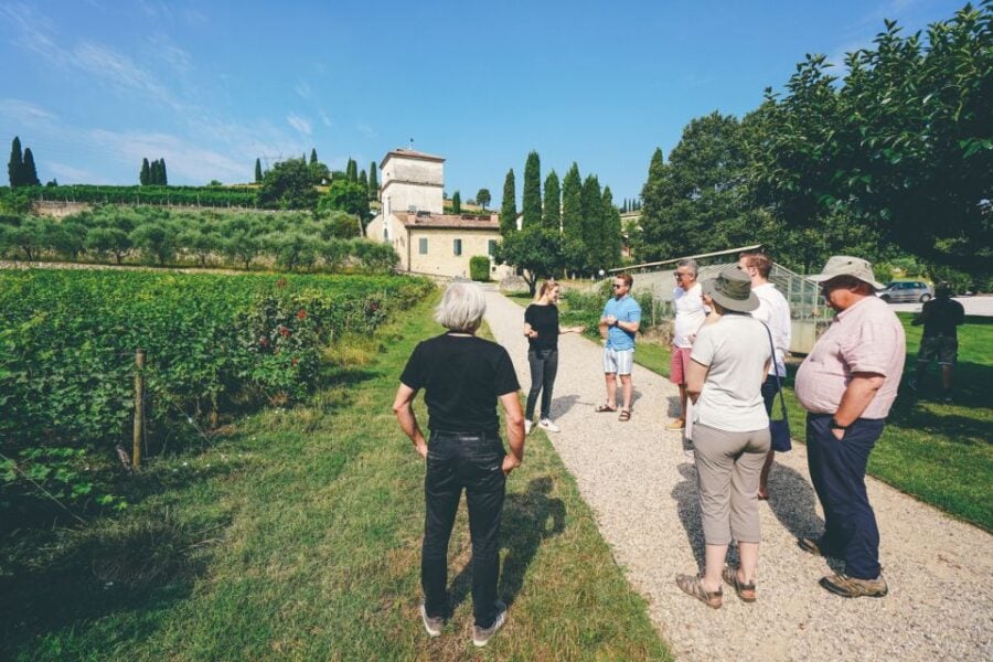 From Verona: Valpolicella and Amarone Wine Tasting Tour