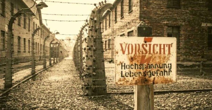 From Warsaw: Auschwitz-Birkenau Small Group Tour With Lunch