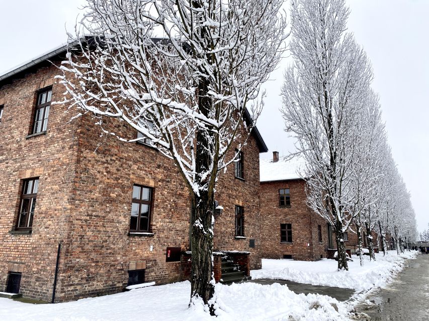 From Wrocław: Full-Day Auschwitz-Birkenau Guided Tour - Tour Overview and Pricing