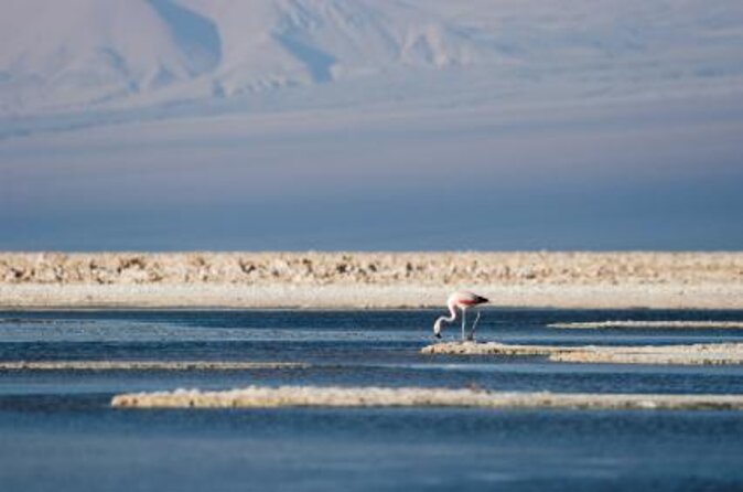 Full Atacama – SORBAC (Group Tours)