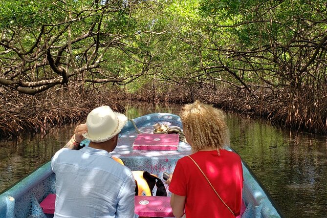 Full-day Adventure to Caribbean Sea: Mamey and Grande Island