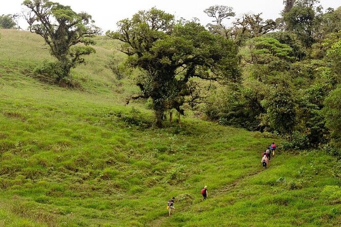 Full-Day Bajos Del Toro Hiking Experience - Detailed Itinerary