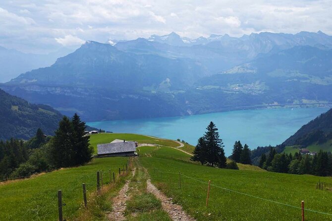 Full-Day Hiking Swiss Alps and Lake Lucerne With Pick-Up - Overview and Experience