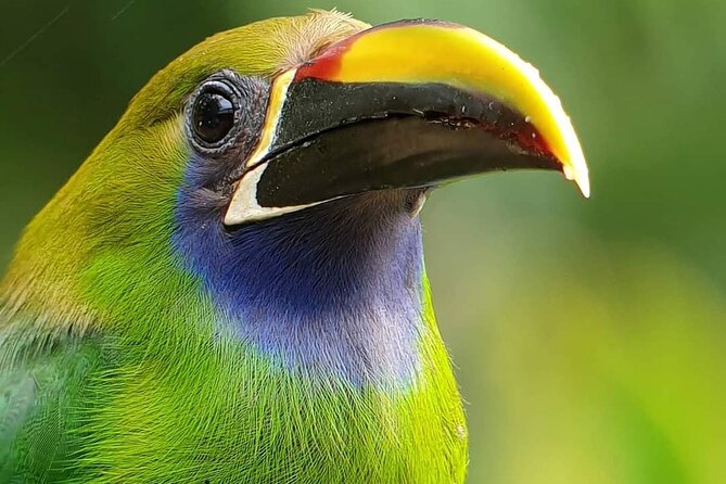 Full Day in Monteverde Nature With Cultural Adventure