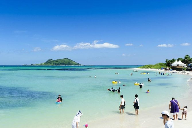 Full Day Jeju Island Private Tour for East Course With Korean Black Pork BBQ
