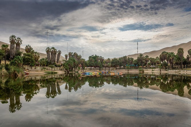 Full Day Paracas - Ica - Oasis Huacachina