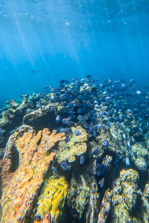 Full-Day Private Snorkel Tour in Tulum and Sian Kaan