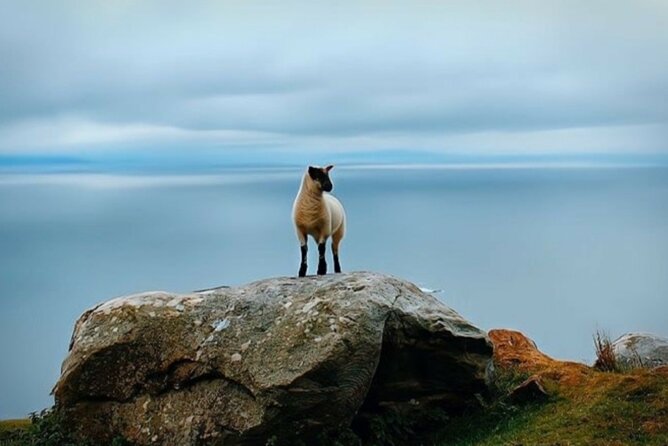 Full Day Private Tour to Ireland