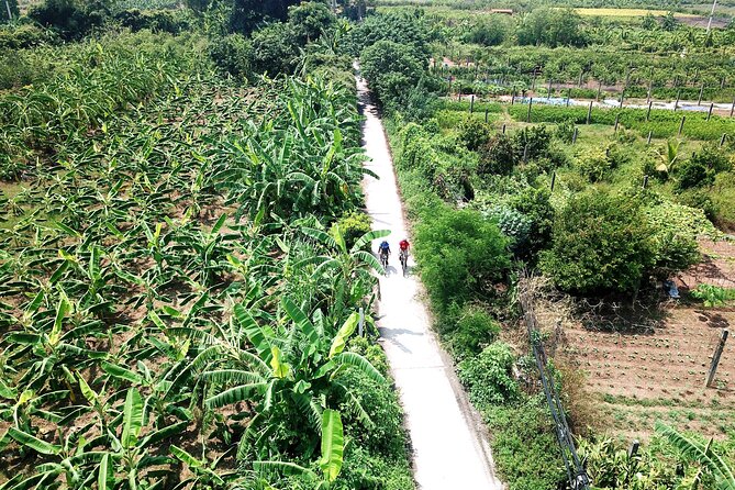 Full-Day Red River Bike Tour From Hanoi With Lunch and Pickup - Tour Overview
