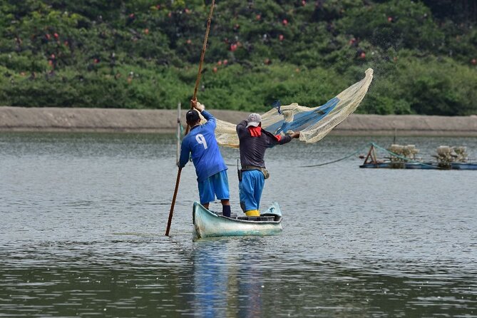 Full Day Tour Mangroves Dolphins and Birds From Guayaquil