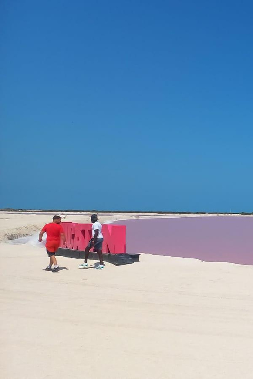 Full-Day Tour to Rio Lagartos and Coloradas With …