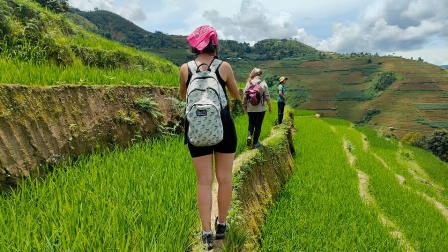Full Day Trekking Mu Cang Chai - Tour Overview
