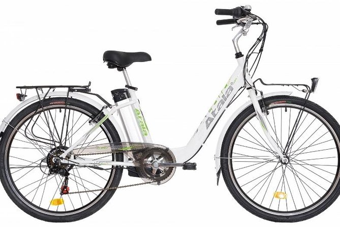 2 Best Bike Rentals In Venice