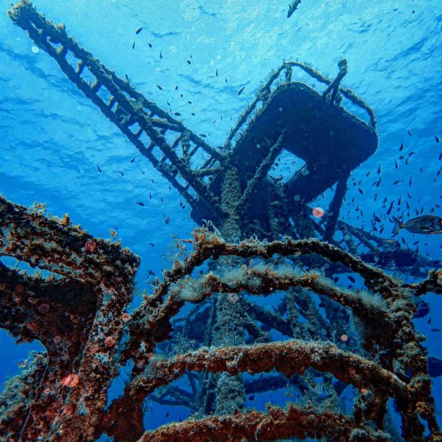 Funchal: Advanced Scuba Diving Afonso Cerqueira Wreck - Activity Overview