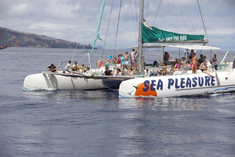 Funchal:Hop-On Hop-Off Bus & Whale & Dolphin Boat Excursion