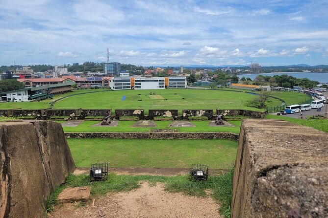 Galle Day Tour With River Safari, Tea Plantation & Sea Turtle