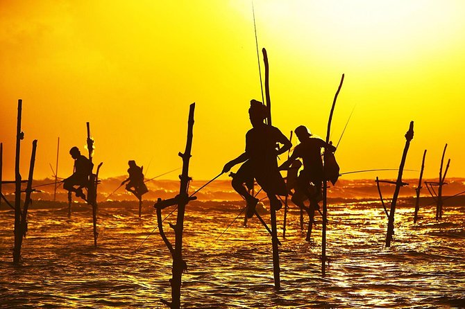 Galle Day Trip & Stilt Fishermen From Koggala - Highlights of the Galle Day Trip