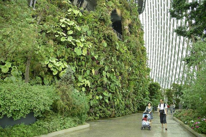 Gardens by the Bay With Both Domes (Small-Group Pickup)  – Singapore
