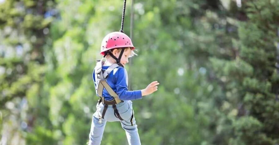 Gatlinburg: Zipline Canopy Tour