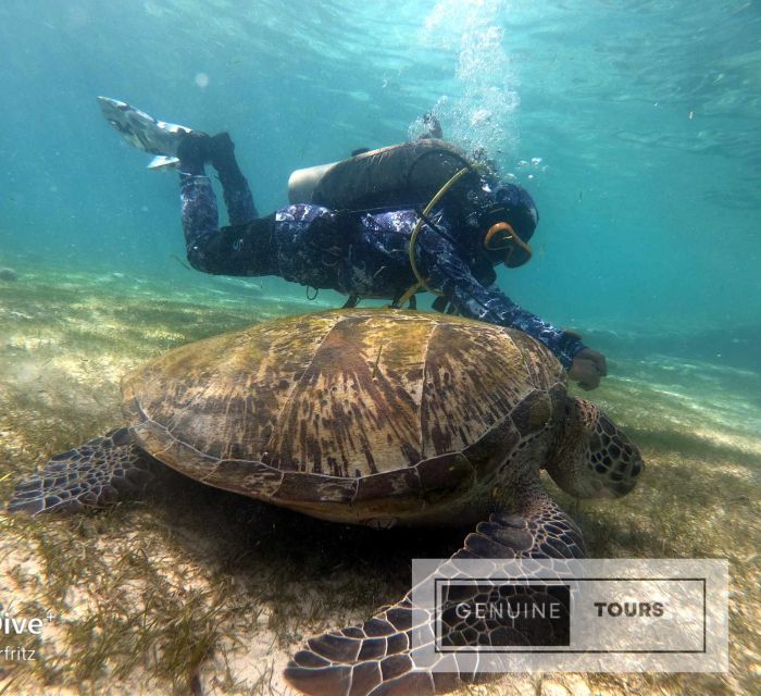 Genuine Tours - OSLOB Snorkeling