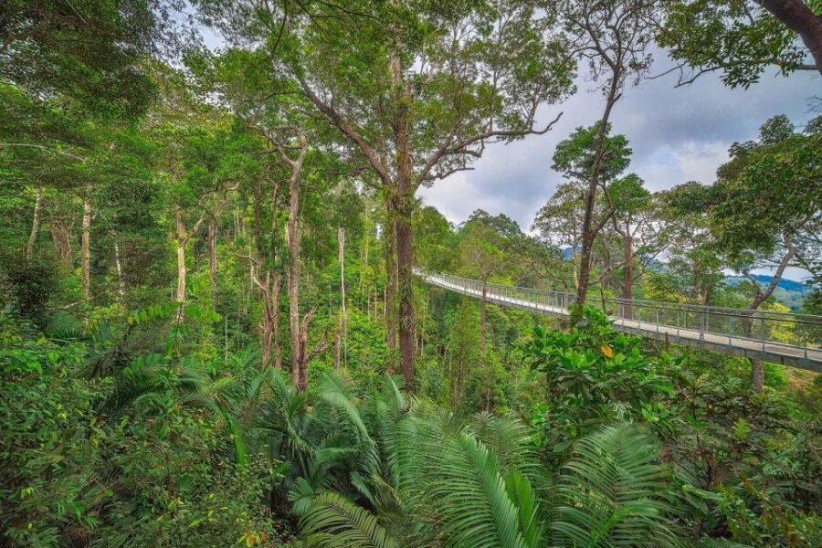 George Town: Penang Habitat Entry Ticket With Nature Trail