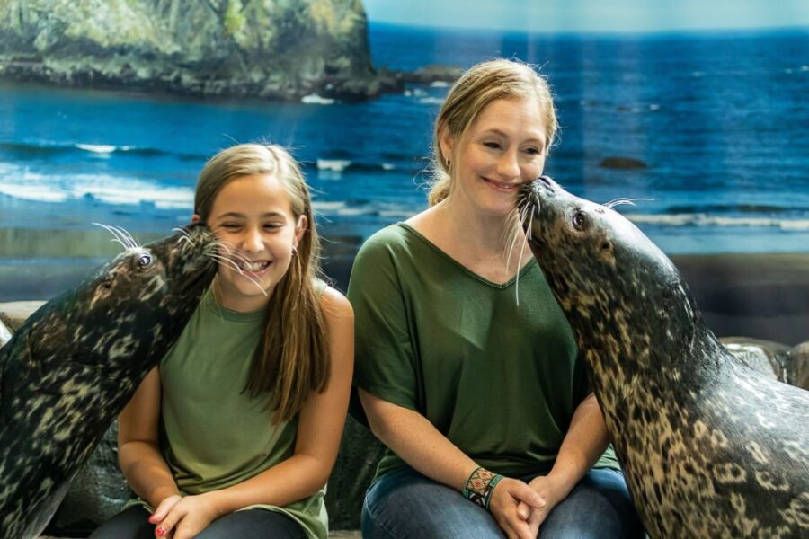 Georgia Aquarium: Harbor Seal Animal Encounter