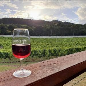 Gisborne Peak Winery Short Term Stays - Property Overview