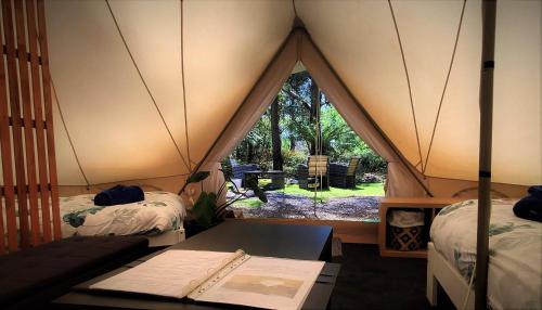 Glamping at Zeehan Bush Camp - Location and Surroundings