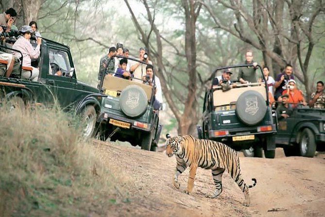 Golden Triangle Tour With Safari ( Ranthambore )8 Days Tour.