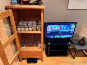 Great River Thames View Entire Apartment in The Most Central London - Property Overview and Location