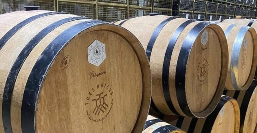 Guanajuato: Private Wine Route Tour With Tastings