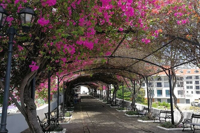 Guided Colonian Heritage Walking Tour in Panama - Tour Details