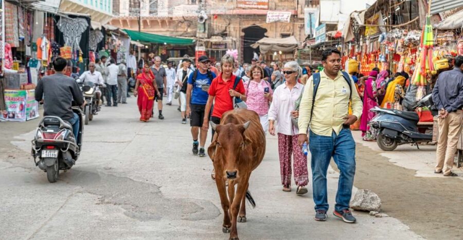 Guided Day Tour of Pushkar From Jaipur - Tour Overview