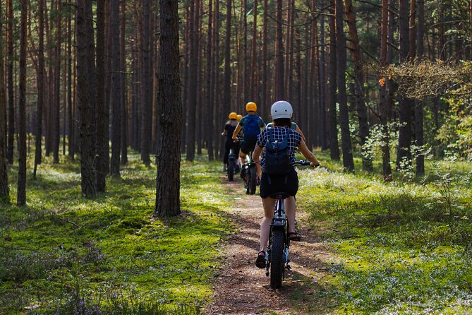 Guided Ebike Tour on Forest Roads and Trails Near Riga - Overview of the Tour