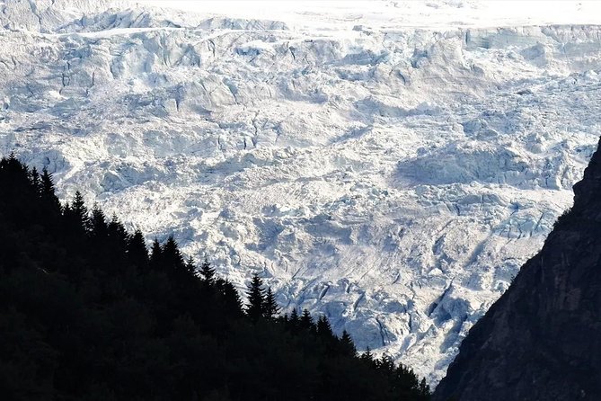 Guided Fjord and Glacier Tours – Balestrand