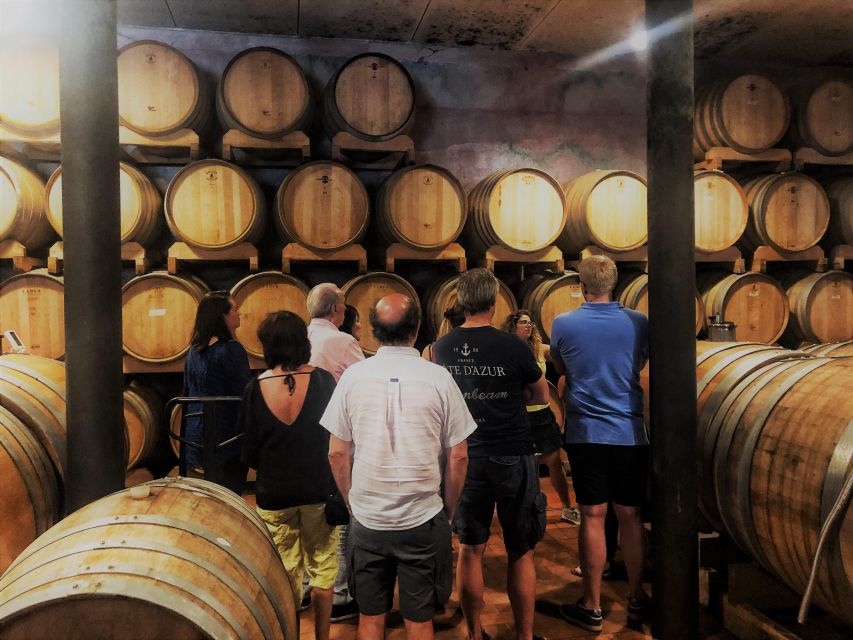 Guided Olive Oil & Wine Tour From Padua