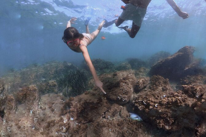 Guided Snorkeling in a Secret Spot of Begur, Costa Brava