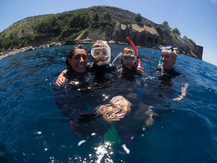 Guided Snorkelling With a Marine Biologist From Sorrento - Activity Overview