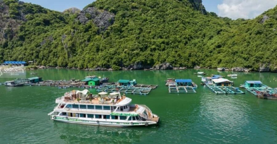 Ha Noi : Lan Ha Bay Day Cruise With Kayaking - Swimming Tour - Tour Overview