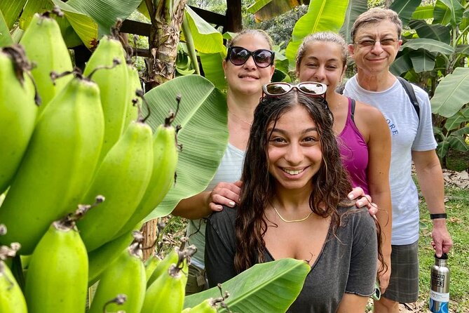 Half Day Bliss Cacao Farm Adventure & Guayaquil City Highlights