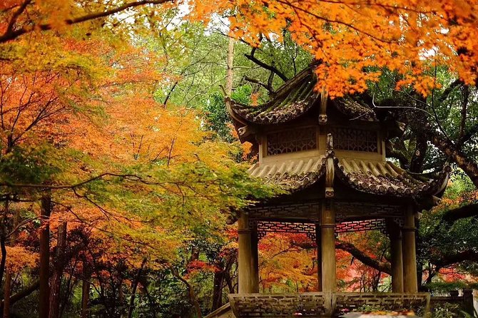 Half-Day Hangzhou Tianzhu Buddhist Mountain Hiking Tour With Green Tea Village