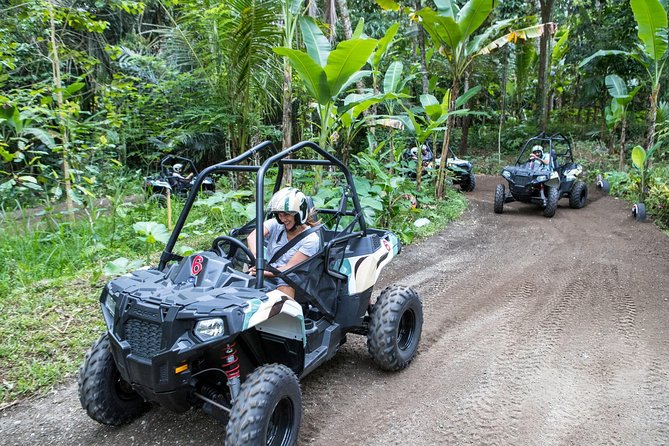 Half Day Jungle Buggies in Bali With Guide - Tour Overview