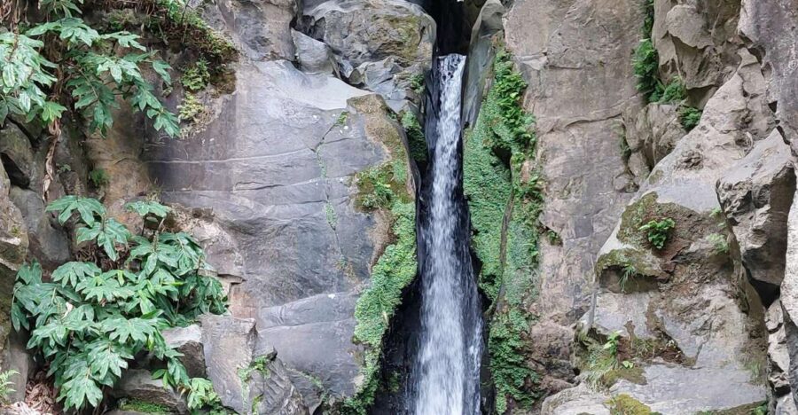 Half Day Lagoa Do Fogo 4X4 Tour and Gin Library