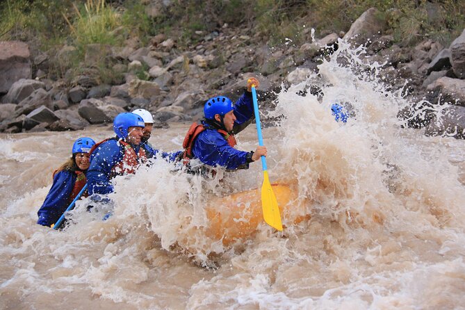 Half-Day Rafting Adventure on the Mendoza River - Inclusions and Logistics