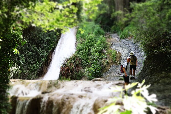 Half-Day River Trekking Stenosia From Kalamata - Overview