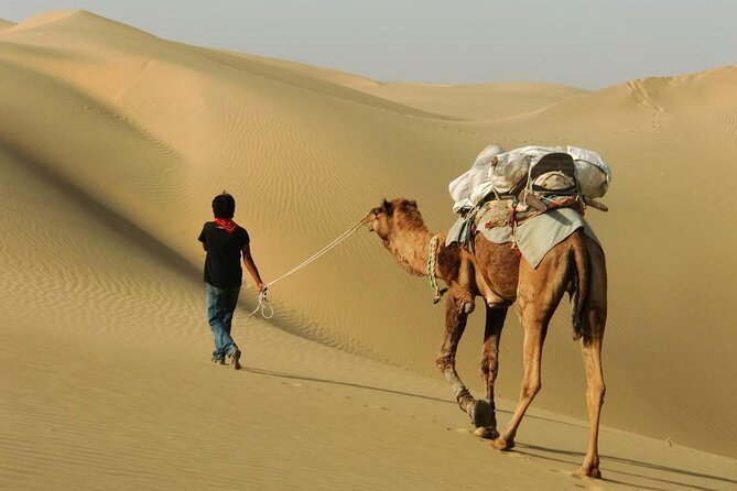Half Day Sunset Safari With Camel Ride and Cultural Program