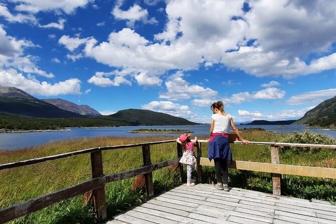Half-Day Tierra Del Fuego National Park With Train - Tour Overview and Details