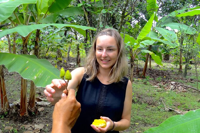 Half Day Tour Cocoa Farm Fruits and Plantations From Guayaquil