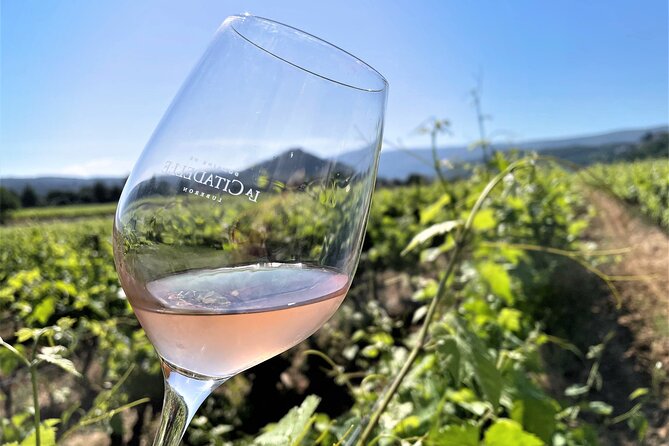 Half Day Wine Tour in Bandol & Cassis From Aix En Provence