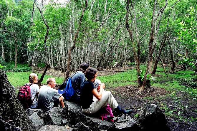 Halfday Trekking Cat Ba Butterfly Valley (More Intense) - Included Amenities